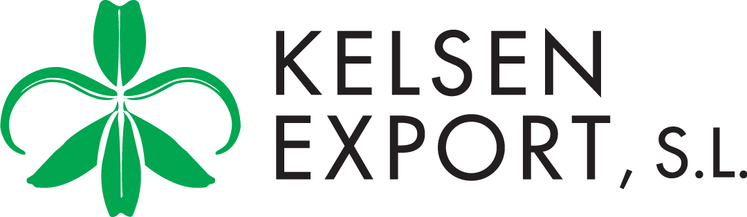 KELSEN-EXPORT-logo